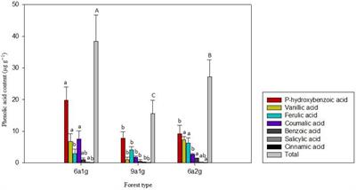 Continuous planting Eucalyptus plantations in subtropical China: Soil phenolic acid accumulation and adsorption physiognomies